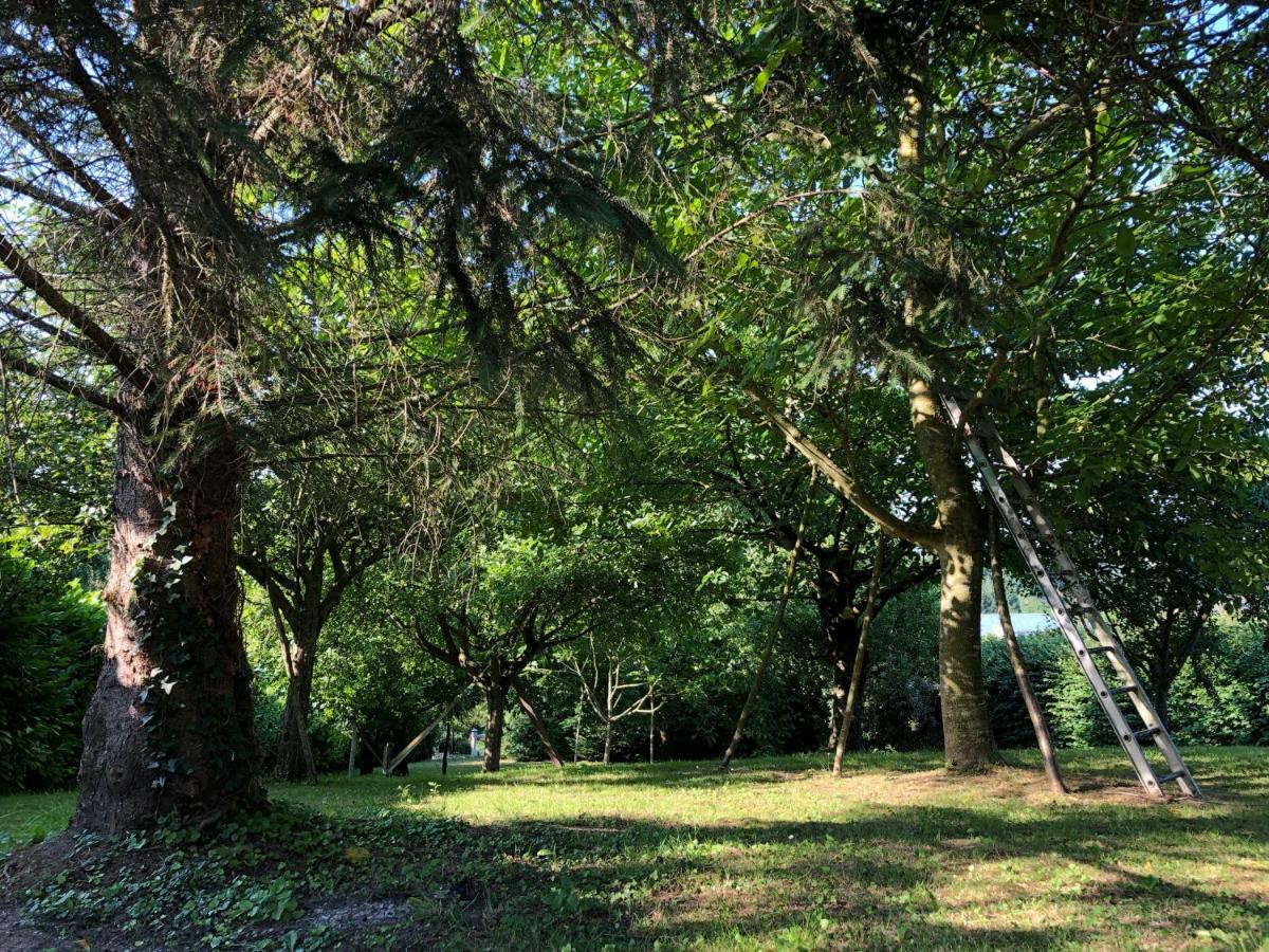 Aux Lettres Du Lavoir La Rivière-Saint-Sauveur Exteriör bild
